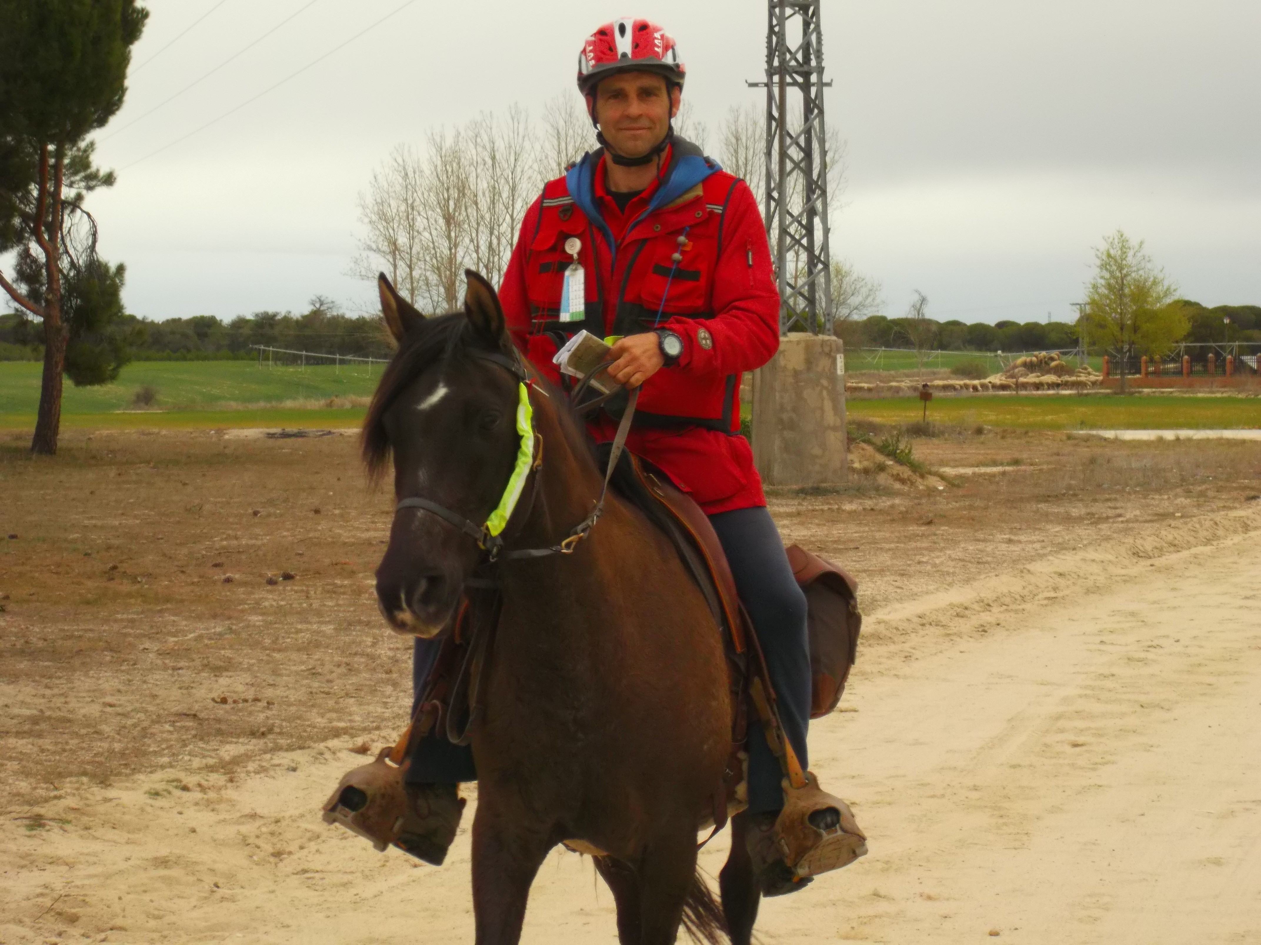 Éxito deportivo de los Navarros en el Concurso Internacional ** Alta Moraña celebrado en Riocabado
